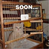 SOON