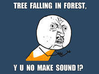 "Y U NO" Guy