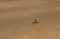 And Not a Single Fuck Was Given That Day