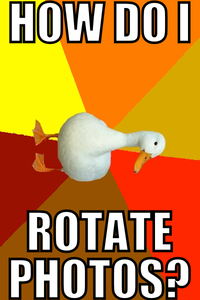 Technologically Impaired Duck