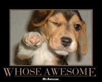 Who's Awesome? You're Awesome! / Sos Groso, Sabelo!