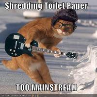 Hipster Kitty