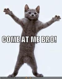 COME AT ME BRO
