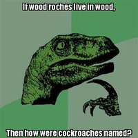 Philosoraptor