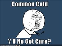 "Y U NO" Guy