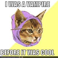 Hipster Kitty