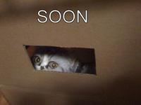 SOON
