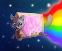 Nyan Cat / Pop Tart Cat