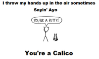 I Throw My Hands Up In The Air Sometimes Saying Ayo