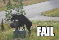 FAIL