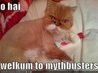 Mythbusters