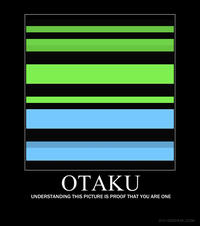 Otaku Test