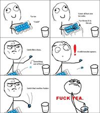 F*ck Yea