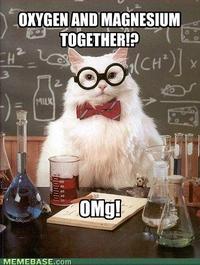 Chemistry Cat