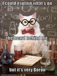 Chemistry Cat