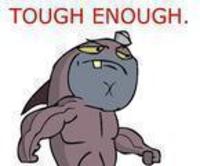 Welcome to the Salty Spitoon. How tough are ya?