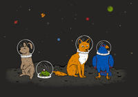Alternate Universe