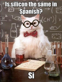 Chemistry Cat