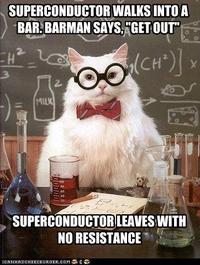 Chemistry Cat