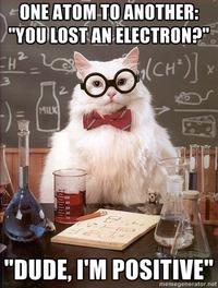 Chemistry Cat