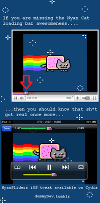 Nyan Cat / Pop Tart Cat