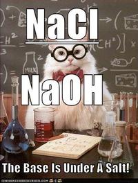 Chemistry Cat