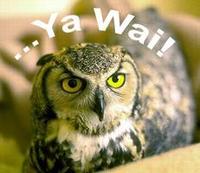 O RLY?