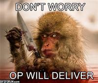 Waiting for OP/OP Will Surely Deliver