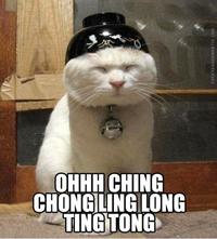Asians in the Library