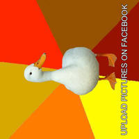 Technologically Impaired Duck