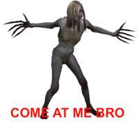 COME AT ME BRO