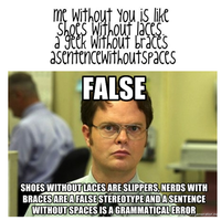 Schrute Facts