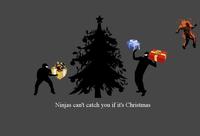 Ninjas Can't Catch You If...
