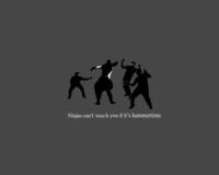 Ninjas Can't Catch You If...