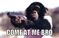 COME AT ME BRO