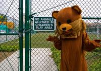 Pedobear