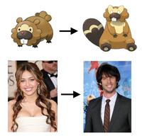 Celebrity Pokemon Evolutions