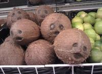 Things With Faces (Pareidolia)