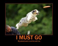 I Must Go