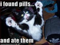 I Found Pills... And Ate Them!