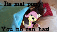My Little Pony: Friendship is Magic