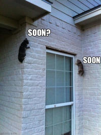 SOON