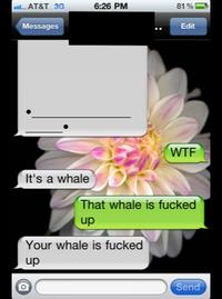 iPhone Whale