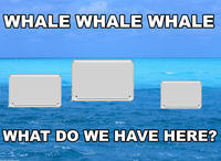 iPhone Whale