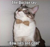 Bow Ties Are Cool