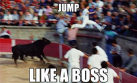 Like A Boss