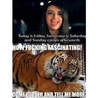 Rebecca Black - Friday