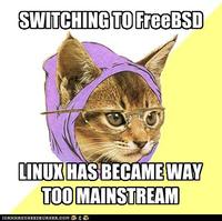 Hipster Kitty