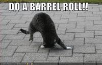 Do A Barrel Roll