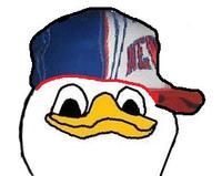 Dolan